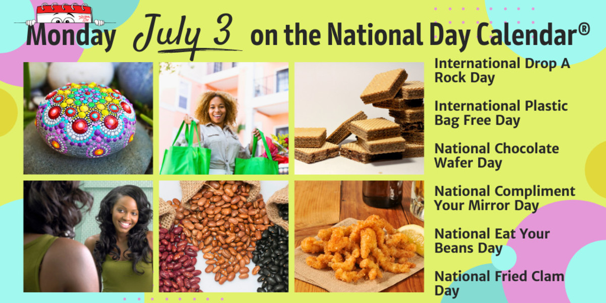 JULY 3, 2023 | NATIONAL COMPLIMENT YOUR MIRROR DAY | NATIONAL FRIED