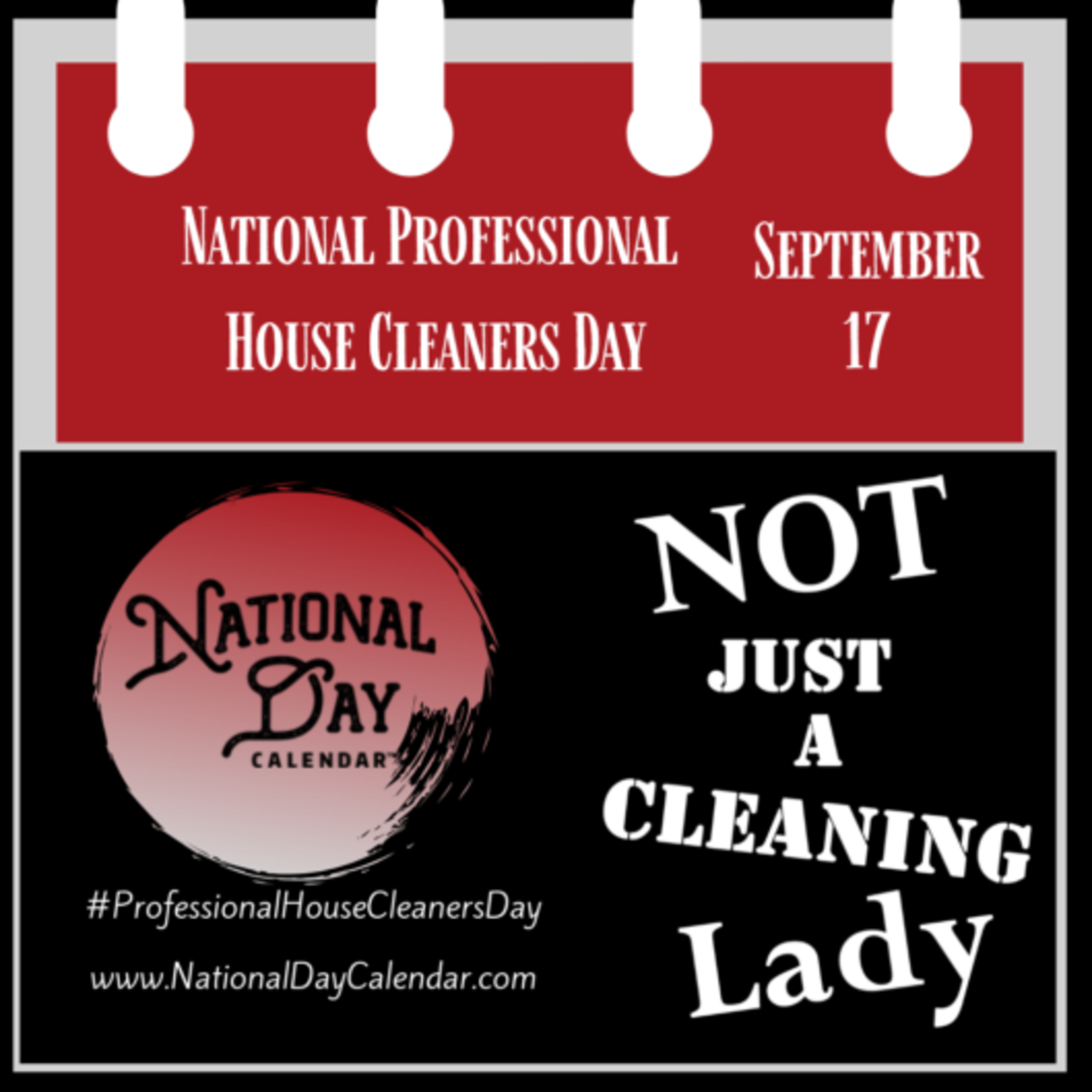 NEW DAY PROCLAMATION NATIONAL PROFESSIONAL HOUSE CLEANERS DAY