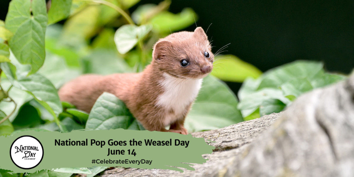 NATIONAL POP GOES THE WEASEL DAY June 14 National Day Calendar