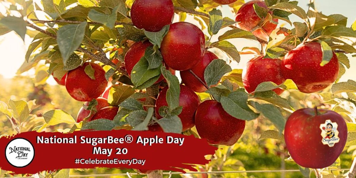 NATIONAL SUGARBEE® APPLE DAY May 20 National Day Calendar