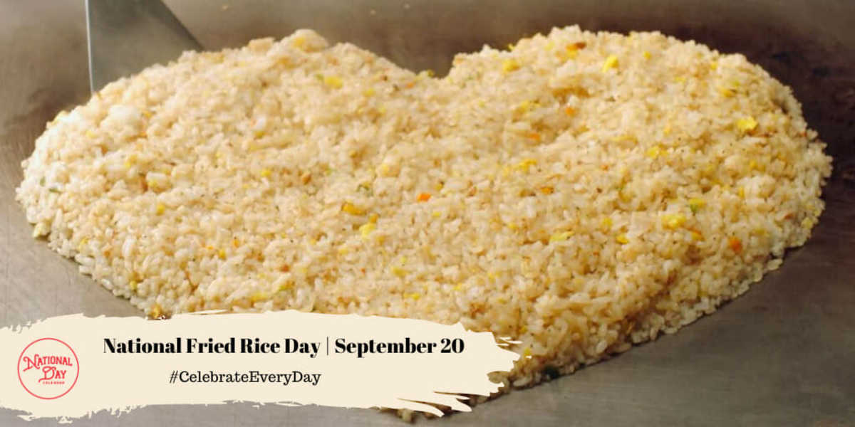National Fried Rice Day 2024 India Hanna Kikelia