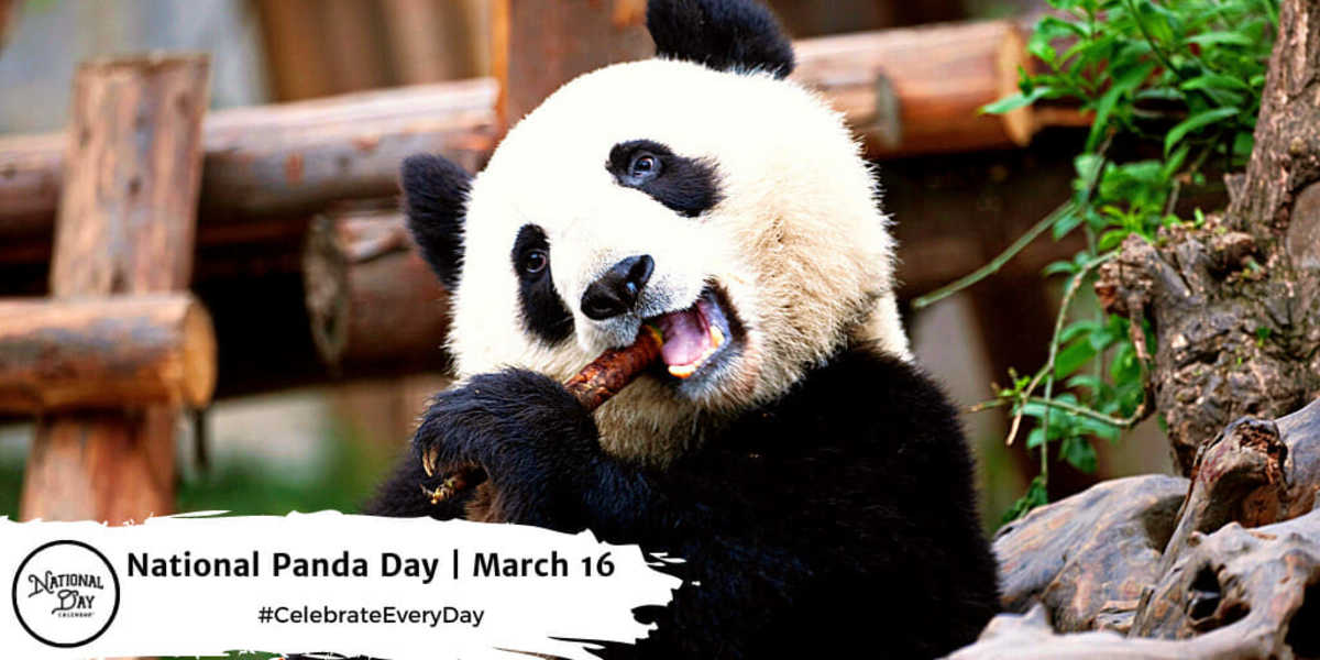 NATIONAL PANDA DAY March 16 National Day Calendar