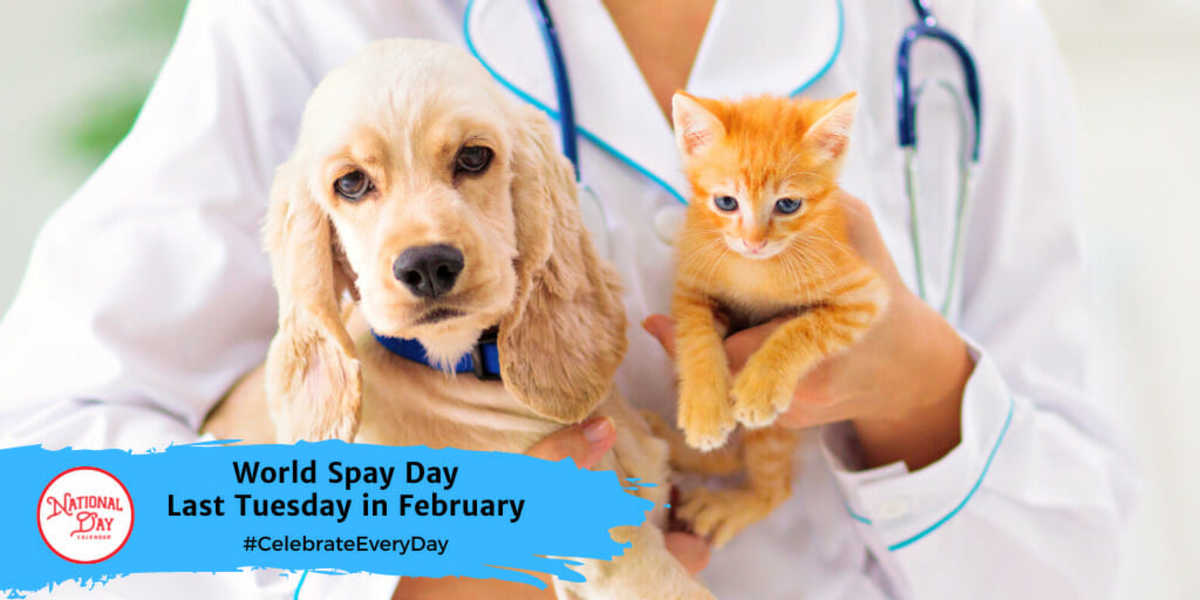WORLD SPAY DAY February 27, 2025 National Day Calendar