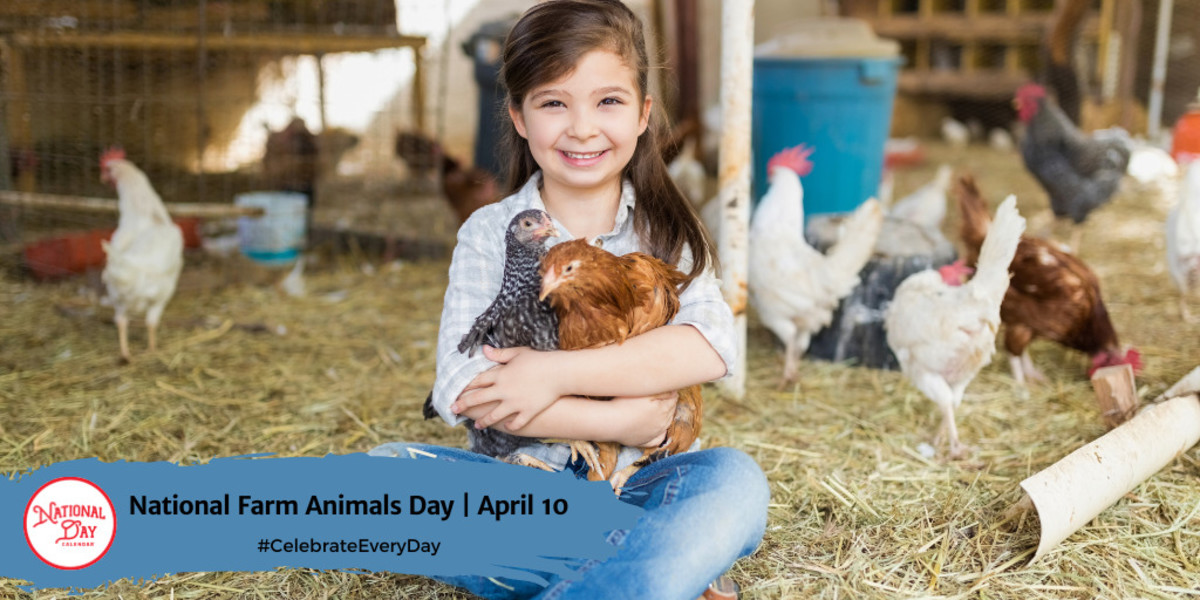 Farm Animals Day 2024 Maye Stephi
