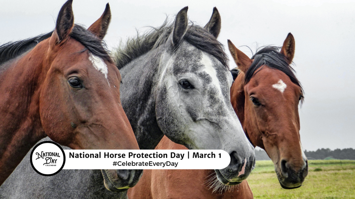 NATIONAL HORSE PROTECTION DAY March 1 National Day Calendar