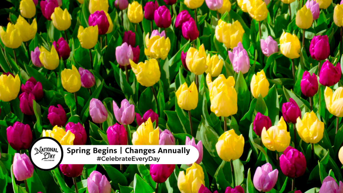 Spring Begins 2025 Randa