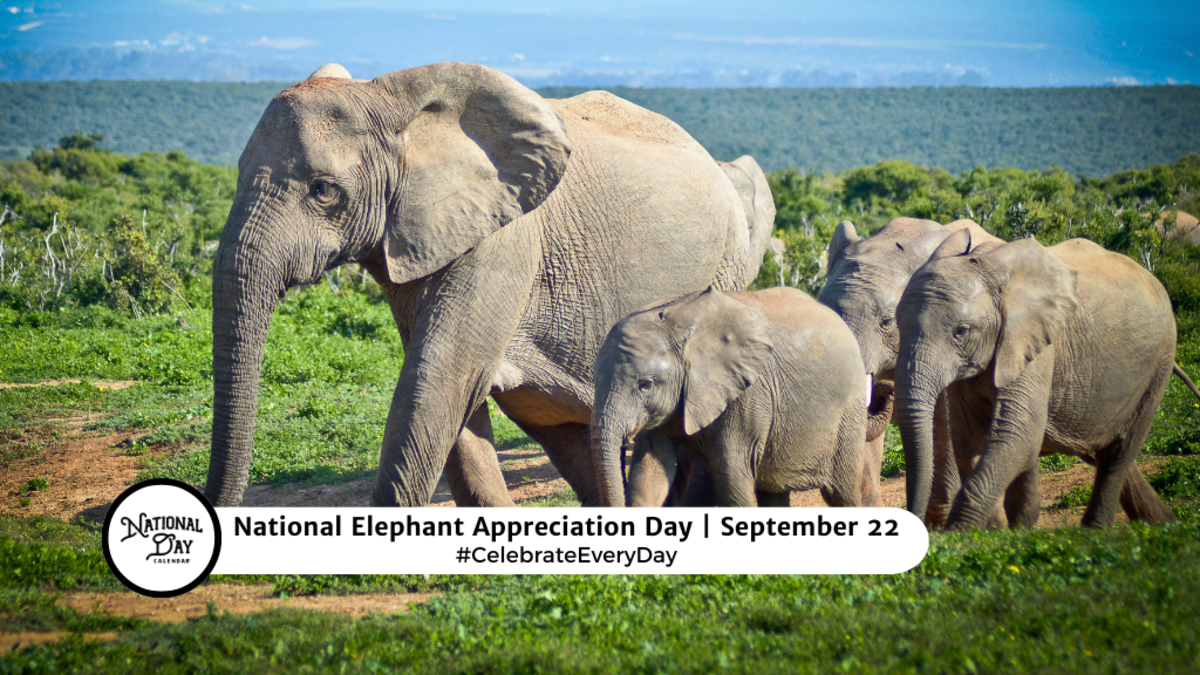 NATIONAL ELEPHANT APPRECIATION DAY September 22 National Day Calendar