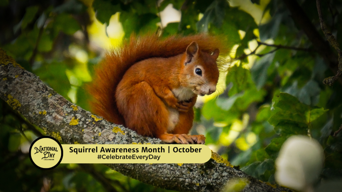 SQUIRREL MONTH October National Day Calendar