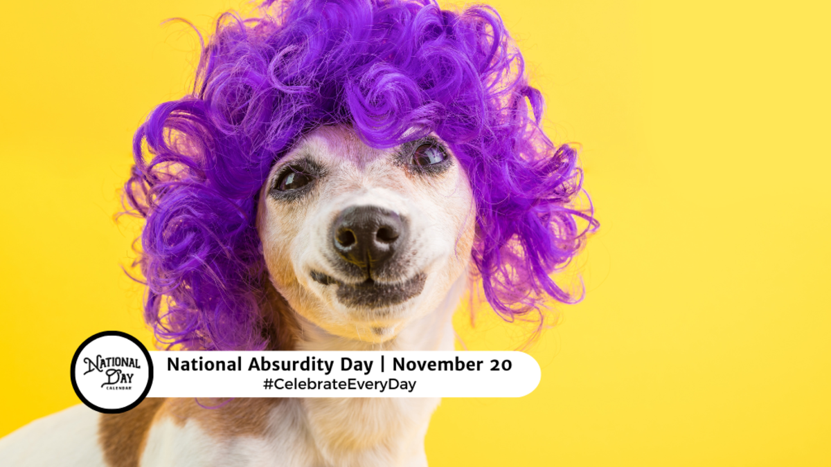 NATIONAL ABSURDITY DAY November 20 National Day Calendar