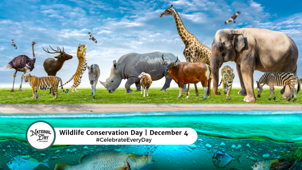 WILDLIFE CONSERVATION DAY - December 4 - National Day Calendar