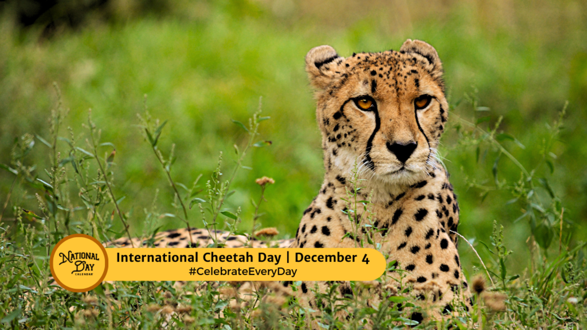 WORLD WILDLIFE CONSERVATION DAY - December 4, 2023 - National Today