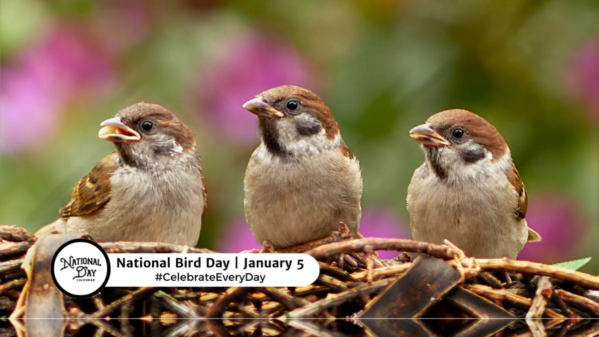 NATIONAL BIRD DAY January 5 National Day Calendar