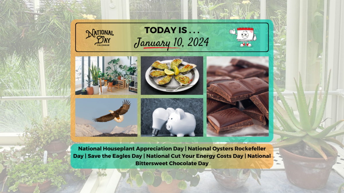 National Houseplant Appreciation Day 2025