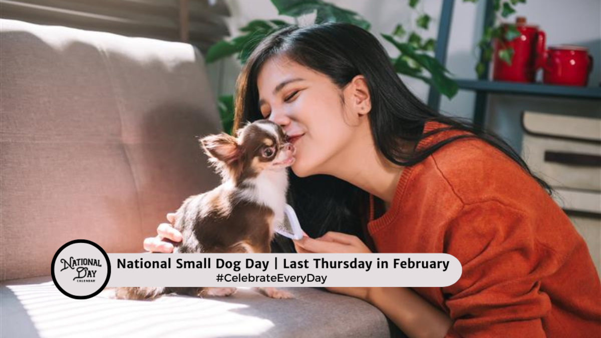 FEBRUARY 27, 2025 POKÉMON DAY NATIONAL SMALL DOG DAY NATIONAL National Small Dog Day 2025 Celebration Ideas